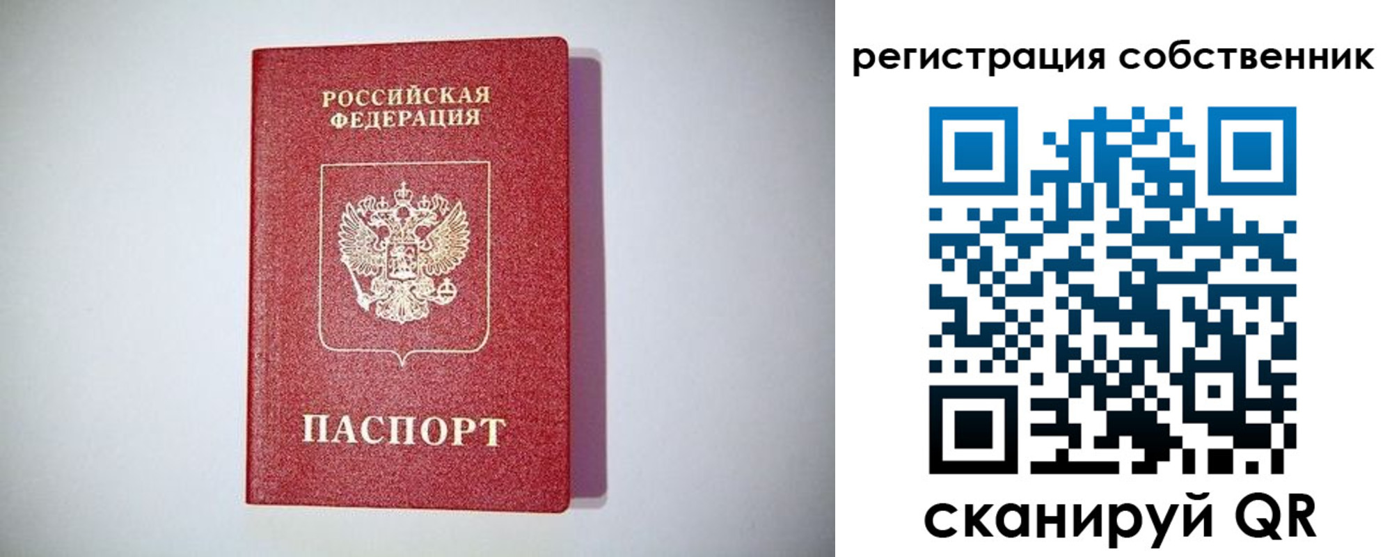 временная регистрация для школы в Жирновске